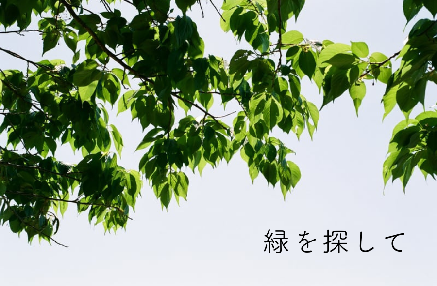 緑を探して